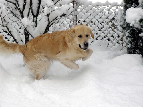 Juhu, Schnee ist schön !!